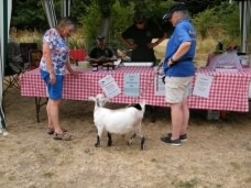 Funday 2018 photos