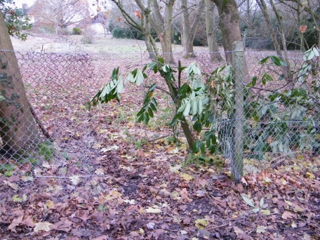 Vandalised wire fence
